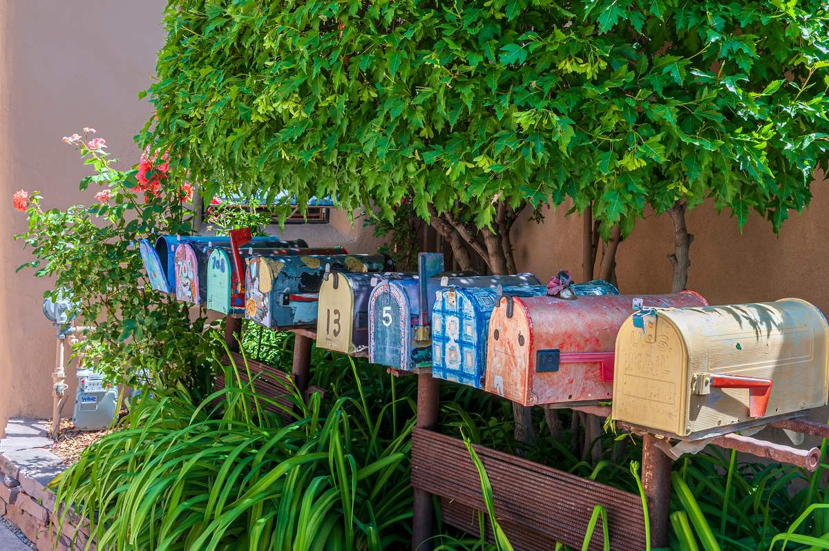 A row of colorful mailboxes lined up among green plants