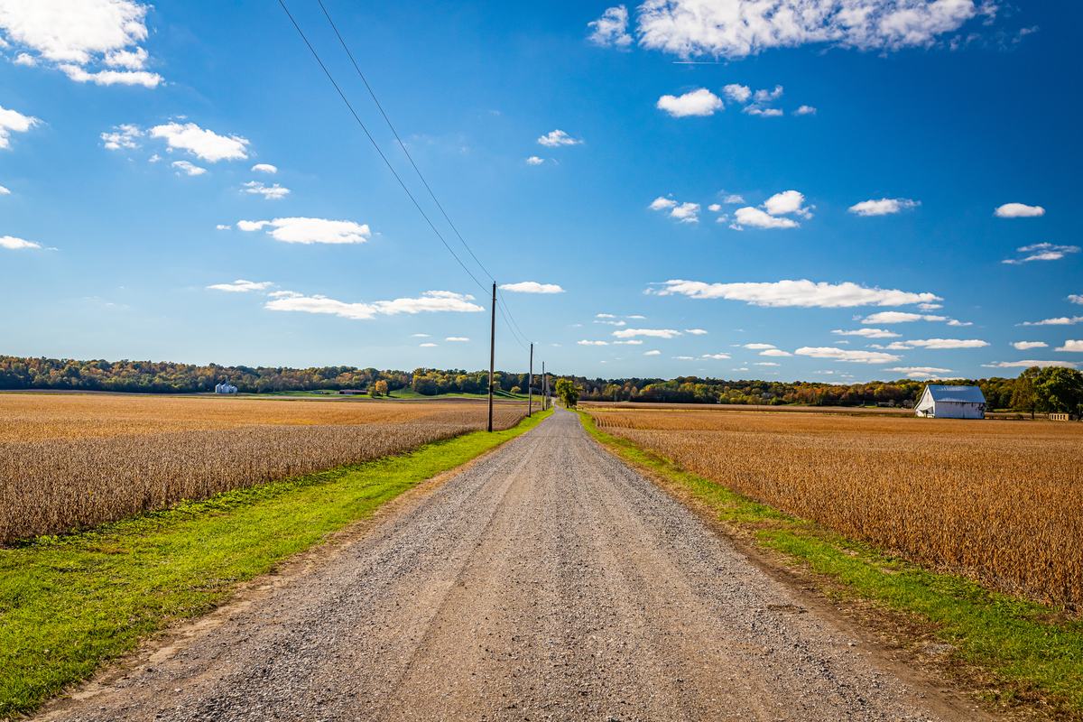 Gravel lane between harvested fields under a blue sky