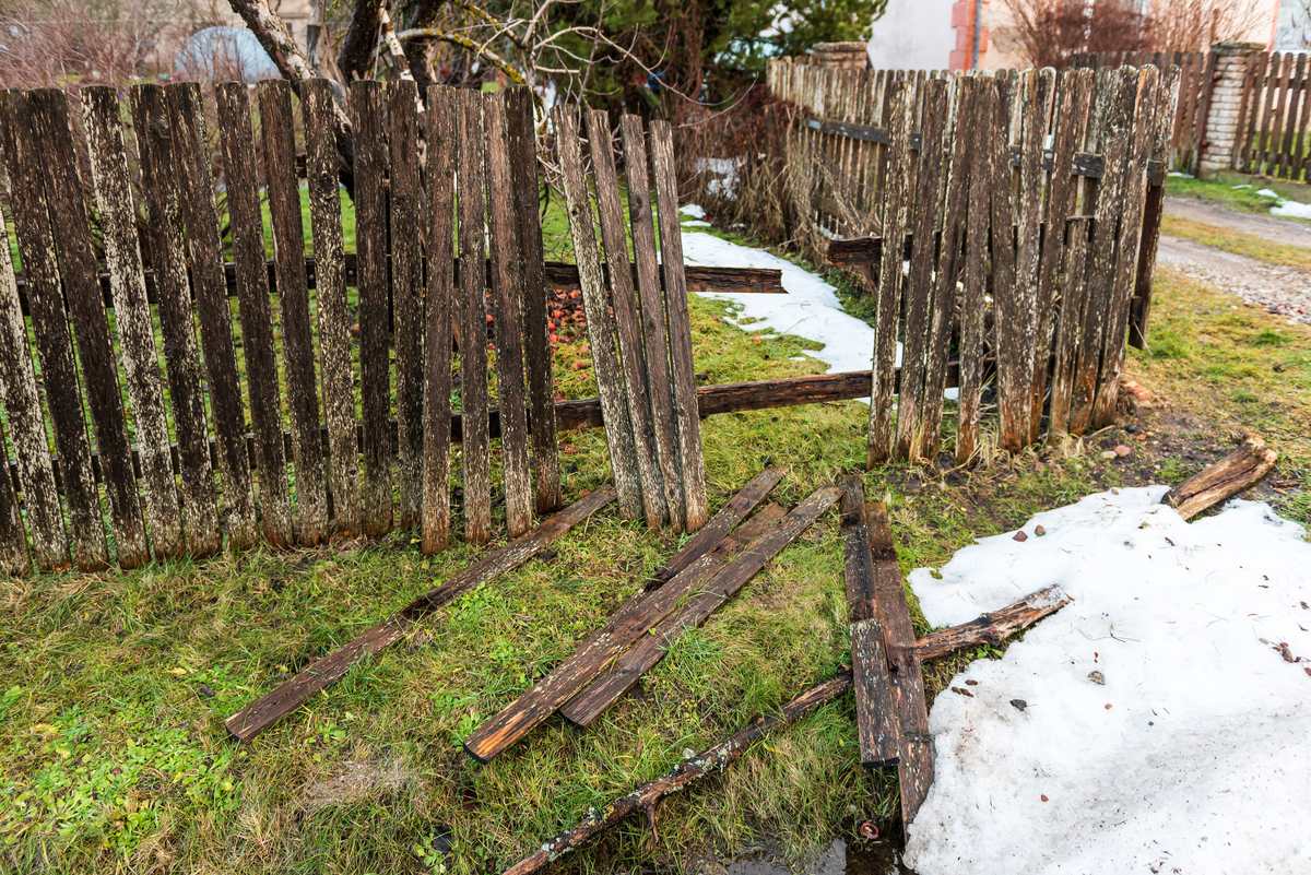 A broken wooden picket fence with fallen boards in a yard